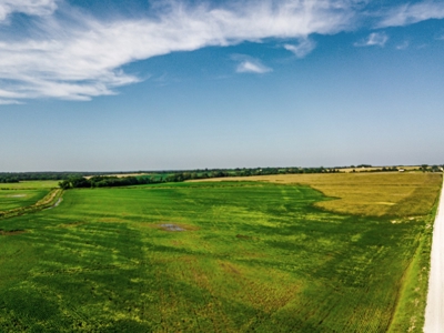 Live Chariton & Randolph County Farm Land Auction - image 2
