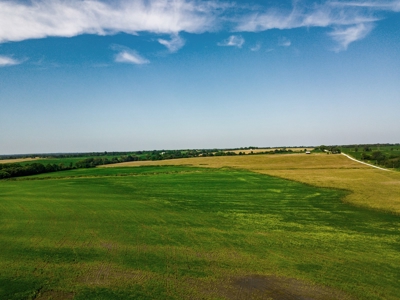 Live Chariton & Randolph County Farm Land Auction - image 3