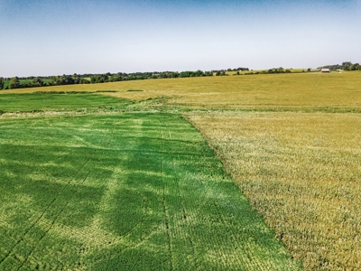 Live Chariton & Randolph County Farm Land Auction - image 4