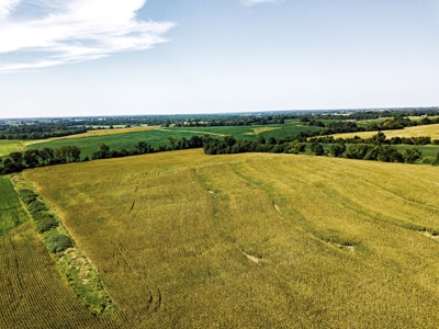 Live Chariton & Randolph County Farm Land Auction - image 5