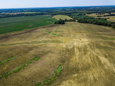 Live Chariton & Randolph County Farm Land Auction - image 6