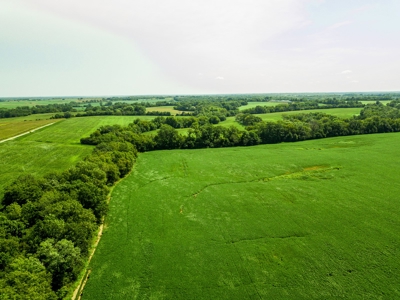Live Chariton & Randolph County Farm Land Auction - image 3