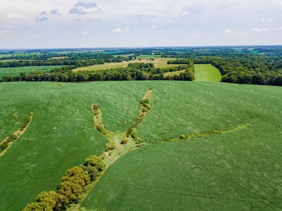 Live Chariton & Randolph County Farm Land Auction - image 11
