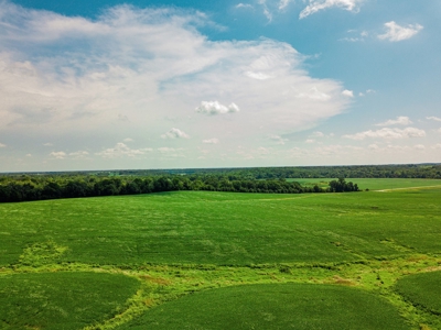 Live Chariton & Randolph County Farm Land Auction - image 7
