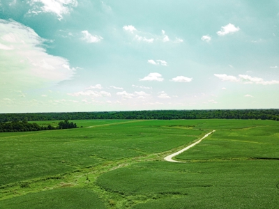 Live Chariton & Randolph County Farm Land Auction - image 8