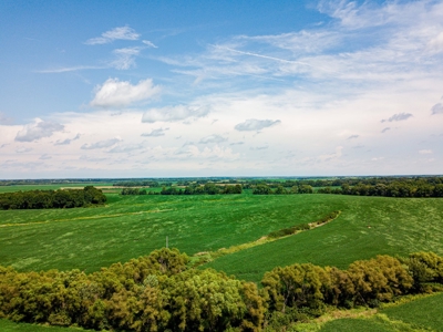 Live Chariton & Randolph County Farm Land Auction - image 9