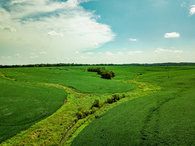 Live Chariton & Randolph County Farm Land Auction - image 5