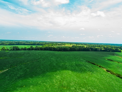 Live Chariton & Randolph County Farm Land Auction - image 3