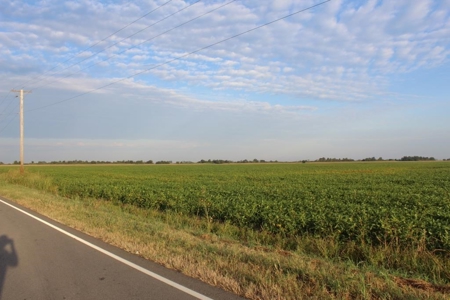 Highly Tillable Farm Land Auction in Pemiscot County MO - image 8