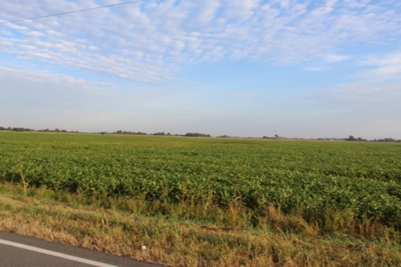 Highly Tillable Farm Land Auction in Pemiscot County MO - image 6
