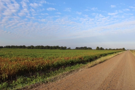 Highly Tillable Farm Land Auction in Pemiscot County MO - image 12
