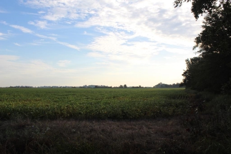 Highly Tillable Farm Land Auction in Pemiscot County MO - image 10