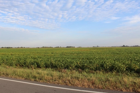Highly Tillable Farm Land Auction in Pemiscot County MO - image 4