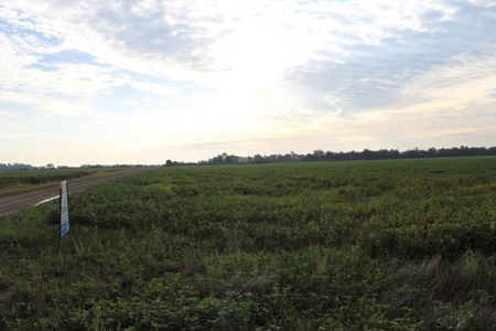 Highly Tillable Farm Land Auction in Pemiscot County MO - image 9