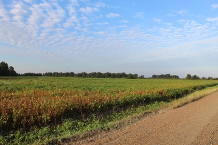 Highly Tillable Farm Land Auction in Pemiscot County MO - image 14