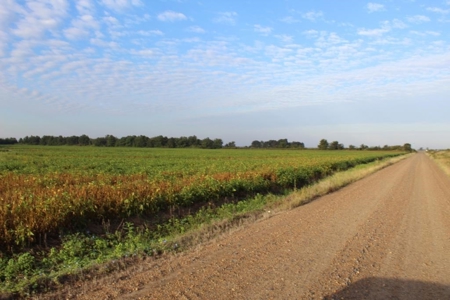 Highly Tillable Farm Land Auction in Pemiscot County MO - image 13