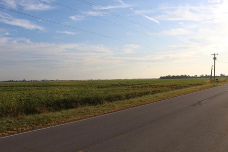 Highly Tillable Farm Land Auction in Pemiscot County MO - image 3