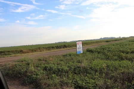 Highly Tillable Farm Land Auction in Pemiscot County MO - image 11
