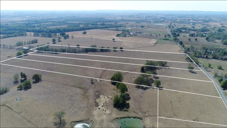 ABSOLUTE FARM AUCTION. 146 Acres in Tracts - image 3