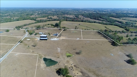 ABSOLUTE FARM AUCTION. 146 Acres in Tracts - image 4