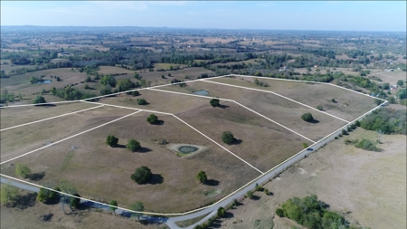 ABSOLUTE FARM AUCTION. 146 Acres in Tracts - image 11