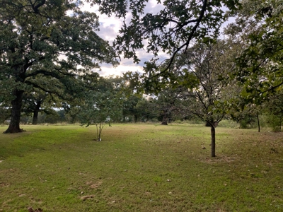 Sneak Peek Of Upcoming Auction- Tishomingo, Ok-Nov. 9Th - image 9