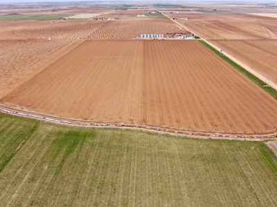 Land Auction in Colorado - image 10