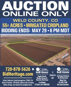 Land Auction in Colorado - image 16