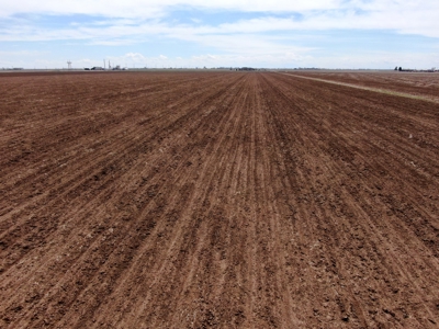 Land Auction in Colorado - image 9