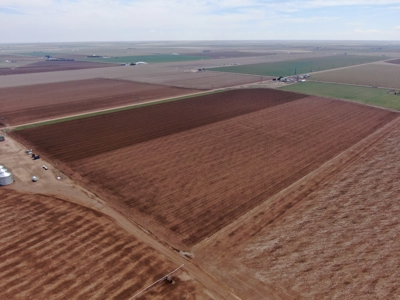 Land Auction in Colorado - image 2