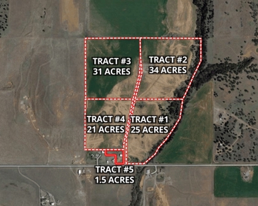 Country Home Sites & Development Land for Sale - Custer Co. - image 8