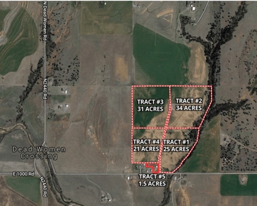 Country Home Sites & Development Land for Sale - Custer Co. - image 9