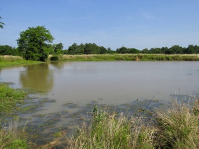 Land For Sale Pittsburg County Ok Hunting Property Lake View - image 24