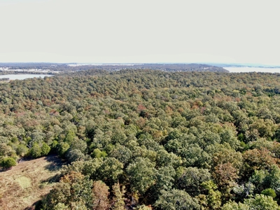 Land For Sale Pittsburg County Ok Hunting Property Lake View - image 13