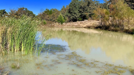 Land For Sale Pittsburg County Ok Hunting Property Lake View - image 26