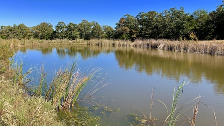 Land For Sale Pittsburg County Ok Hunting Property Lake View - image 27