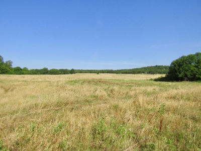 Land For Sale Pittsburg County Ok Hunting Property Lake View - image 23