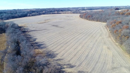 Tract 1 205+/- Ac, Quality Farm Land & Recreation, Andrew Co - image 12