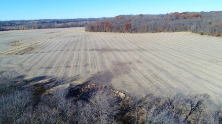 Tract 1 205+/- Ac, Quality Farm Land & Recreation, Andrew Co - image 2