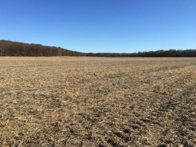 Tract 1 205+/- Ac, Quality Farm Land & Recreation, Andrew Co - image 6