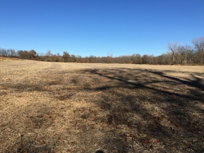 Tract 2: 94+/- Ac, Just North Avenue City School, Andrew Co - image 2