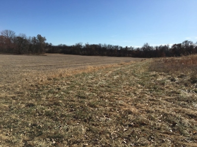 Tract 2: 94+/- Ac, Just North Avenue City School, Andrew Co - image 21