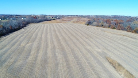 Tract 2: 94+/- Ac, Just North Avenue City School, Andrew Co - image 8
