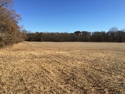 Tract 2: 94+/- Ac, Just North Avenue City School, Andrew Co - image 24