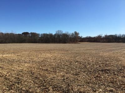 Tract 2: 94+/- Ac, Just North Avenue City School, Andrew Co - image 23