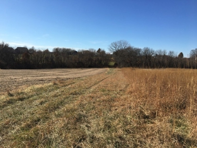 Tract 2: 94+/- Ac, Just North Avenue City School, Andrew Co - image 20