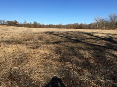 Tract 2: 94+/- Ac, Just North Avenue City School, Andrew Co - image 3