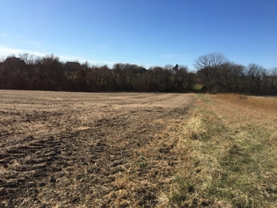 Tract 2: 94+/- Ac, Just North Avenue City School, Andrew Co - image 17