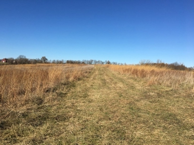 Tract 2: 94+/- Ac, Just North Avenue City School, Andrew Co - image 18