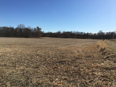 Tract 2: 94+/- Ac, Just North Avenue City School, Andrew Co - image 22
